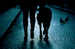 A person walking their dog