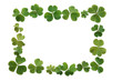 Clover boarder or Frame