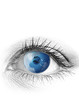 œil - regard - vision - terre