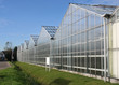 Glasshouse