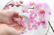 Orchids therapy