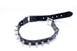 Photo: Halsband Halsband
