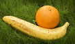 orange and banana on grass