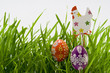 the easter eggs in grass the easter eggs in grass