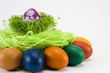 the colorful eggs with cress the colorful eggs with cress