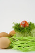 the red egg with cress the red egg with cress