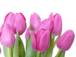Muttertag,Tulpen
