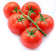 Tomato