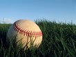 Baseball close up in Grass