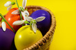 Easter basket with snowdrops and eggs Easter basket with snowdrops and eggs