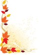 Autumn Border Autumn Border