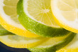 Lemon Lime Arrangement