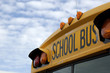 Photo: School Bus School Bus