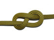 Figure eight knot