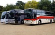 buses in car park