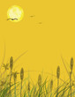Golden Rushes Golden Rushes