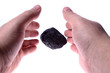 Pieces of coal in palm/ Holding Coal Pieces of coal in palm/ Holding Coal