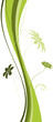 vecteur série - floral design - plante en courbes vectorielles