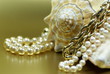 Schmuck mit Muschel 2