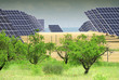 Tecnología y naturaleza