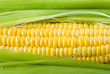 Fresh corn