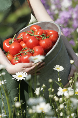 jardinage