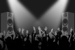 Folla Concerto con Casse e Luci
