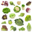 cabbage and green vegetable collection 