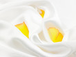 yellow petals in white satin cloth