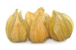 Physalis fruits on a white background