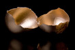 Cracked Gold Egg on Black Background Cracked Gold Egg on Black Background