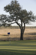17th Green