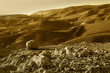 Samaria , Israel