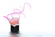 Gerbera
