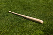 Baseball Bat
