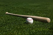Baseball and Bat