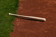 Baseball Bat