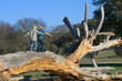 Kids Balancing on a Log Kids Balancing on a Log