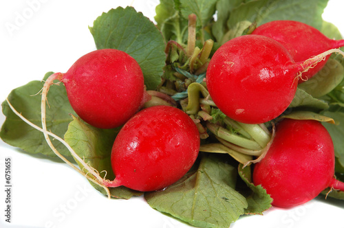 Photo: radish radish