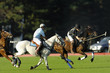 Images : polo apremont