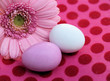 gerber and easter eggs on dotted paper