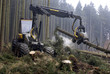 Foto: Holzvollernter Holzvollernter
