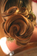 chignon