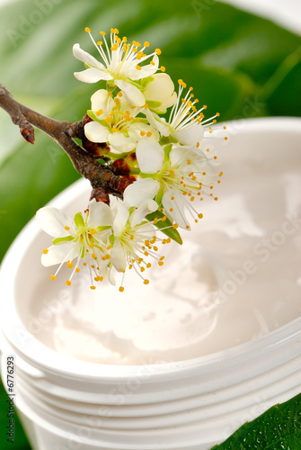 cosmétique