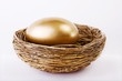 Nest with Gold Egg Nest with Gold Egg