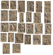 Shell Alphabet EXTREME LARGE Shell Alphabet EXTREME LARGE