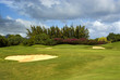 Golf course putting green 3