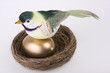 Bird on Gold Egg in Nest Bird on Gold Egg in Nest