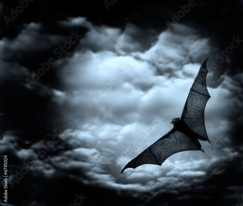Foto: bat flying in the dark cloudy sky bat flying in the dark cloudy sky
