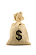 Bag with dollar sign